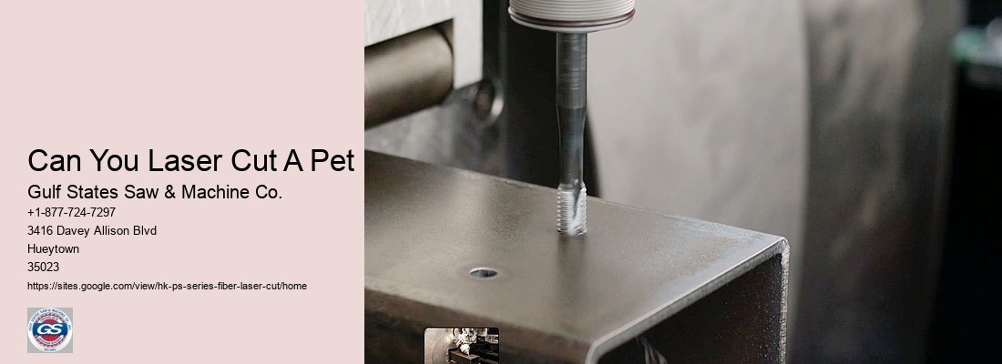 Information Seeking Or Potential Purchase Inquiry About The Hk Ps Series Fiber Laser Cutting System